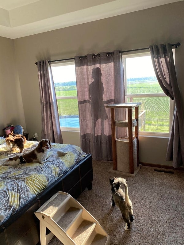 4. «Сын всерьёз подумал, что я его не найду»