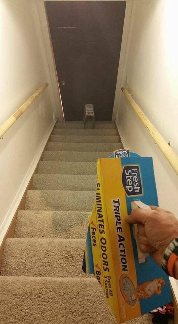 3. Bütün merdivenler kedi kumu da olabilirdi!