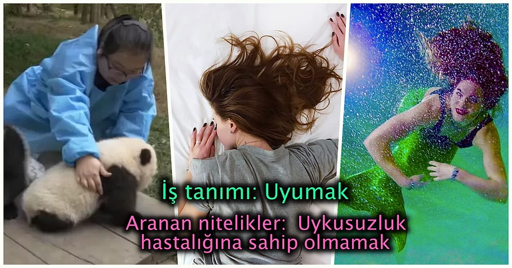 Öğrendiğiniz Anda 'Nereye Başvuruyorum?' Diye Soracağınız Birbirinden Acayip Meslekler