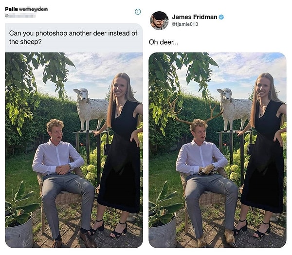 4. «Можешь прифотошопить оленя вместо овцы?»
