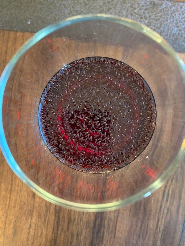 4. Вино после того, как его оставили на улице: сотни утонувших мушек