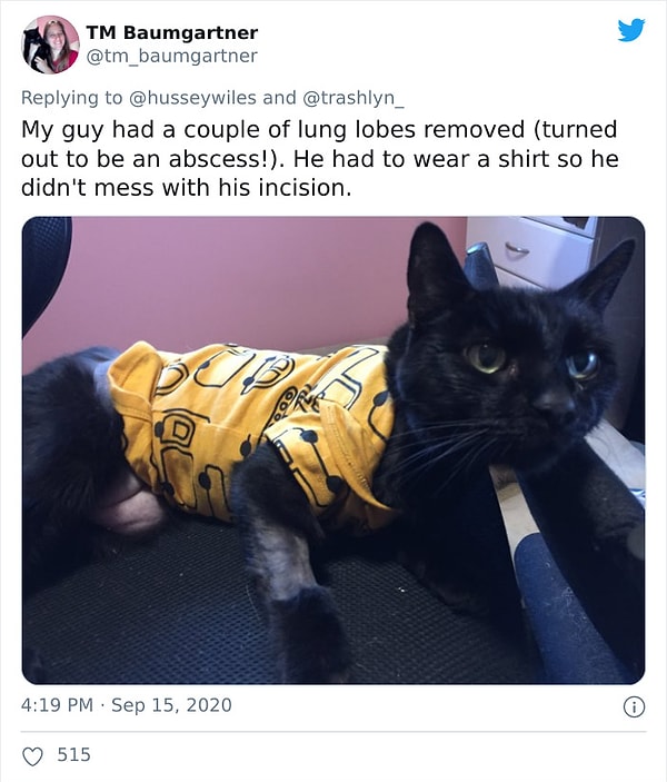 22. Моему котенку удалили пару долей легких (оказался абсцесс) Пришлось одеть ему футболочку, чтобы он не возился со своим разрезом после операции