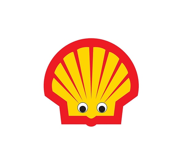 6. Shell