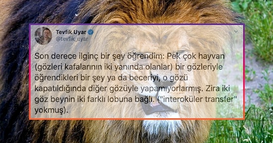 Muhabbeti Açıldığında Sus Pus Oturmak Yerine Bilginizi Konuşturmanıza Yarayacak 18 Faideli Paylaşım