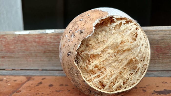 16 любопытных экспериментов, получившихся совершенно случайно