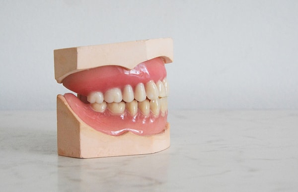 8. Челюсти людей достаточно сильны, чтобы откусить пальцы вместе с костями. Единственное, что нас останавливает, - это инстинкт самосохранения нашего мозга.