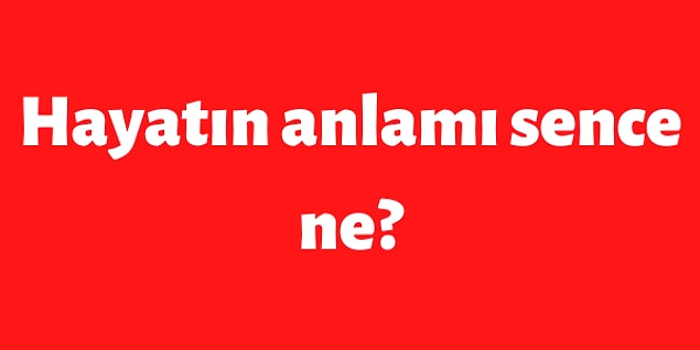 3. 👇
