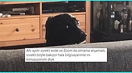 Günlük Hayatta Yaşadıkları veya Tanık Oldukları Olaylarla Yüzümüzü Güldürecek 17 Kişi