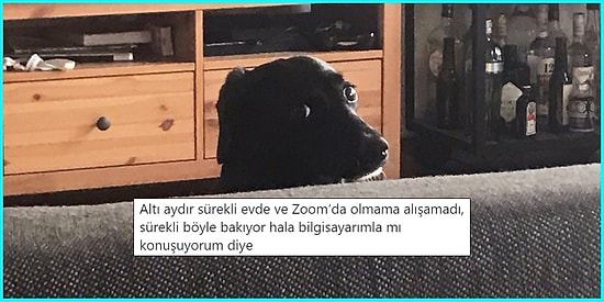 Günlük Hayatta Yaşadıkları veya Tanık Oldukları Olaylarla Yüzümüzü Güldürecek 17 Kişi