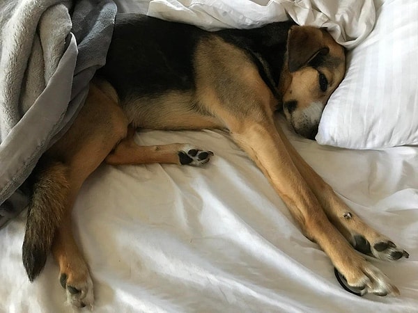 1. «Она заняла моё место»