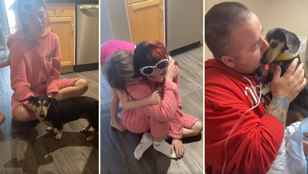 Kanser Olan Köpeği Son Yolculuğuna Uğurlayan İnsan Dostlarının Aşırı Duygusal Anlarını İzlerken Gözyaşlarına Boğulacaksınız