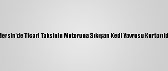 Mersin'de Ticari Taksinin Motoruna Sıkışan Kedi Yavrusu Kurtarıldı