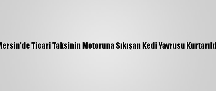 Mersin'de Ticari Taksinin Motoruna Sıkışan Kedi Yavrusu Kurtarıldı