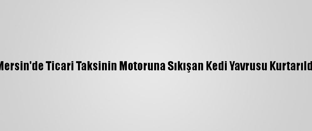 Mersin'de Ticari Taksinin Motoruna Sıkışan Kedi Yavrusu Kurtarıldı