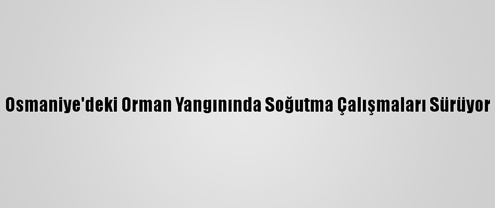 Osmaniye'deki Orman Yangınında Soğutma Çalışmaları Sürüyor