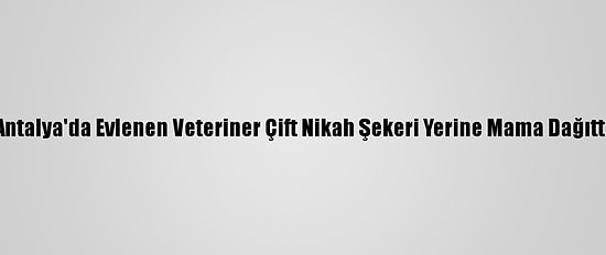 Antalya'da Evlenen Veteriner Çift Nikah Şekeri Yerine Mama Dağıttı
