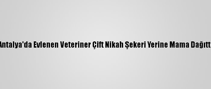 Antalya'da Evlenen Veteriner Çift Nikah Şekeri Yerine Mama Dağıttı