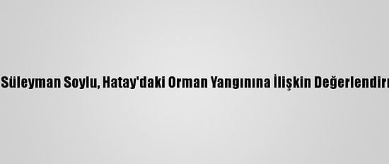 İçişleri Bakanı Süleyman Soylu, Hatay'daki Orman Yangınına İlişkin Değerlendirmede Bulundu: