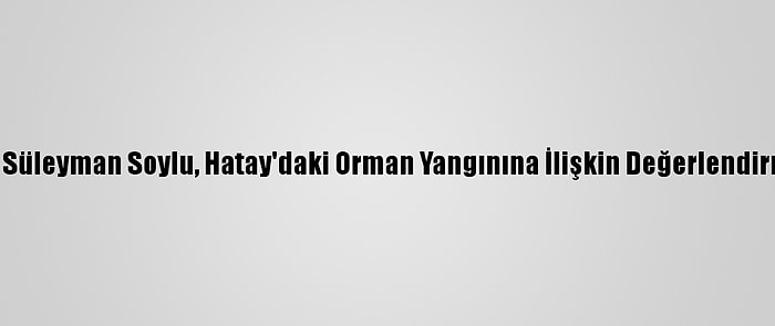 İçişleri Bakanı Süleyman Soylu, Hatay'daki Orman Yangınına İlişkin Değerlendirmede Bulundu: