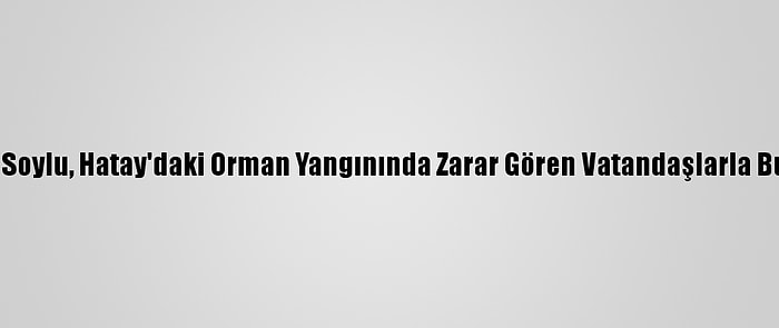 Bakan Soylu, Hatay'daki Orman Yangınında Zarar Gören Vatandaşlarla Buluştu: