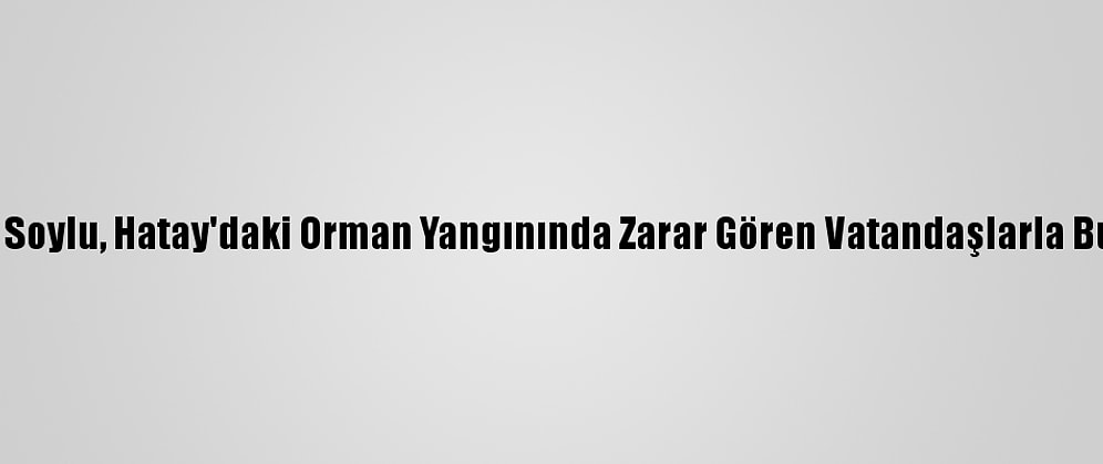 Bakan Soylu, Hatay'daki Orman Yangınında Zarar Gören Vatandaşlarla Buluştu: