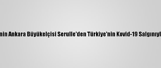 Dominik Cumhuriyeti'nin Ankara Büyükelçisi Serulle'den Türkiye'nin Kovid-19 Salgınıyla Mücadelesine Övgü: