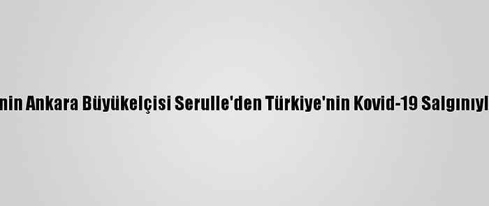 Dominik Cumhuriyeti'nin Ankara Büyükelçisi Serulle'den Türkiye'nin Kovid-19 Salgınıyla Mücadelesine Övgü: