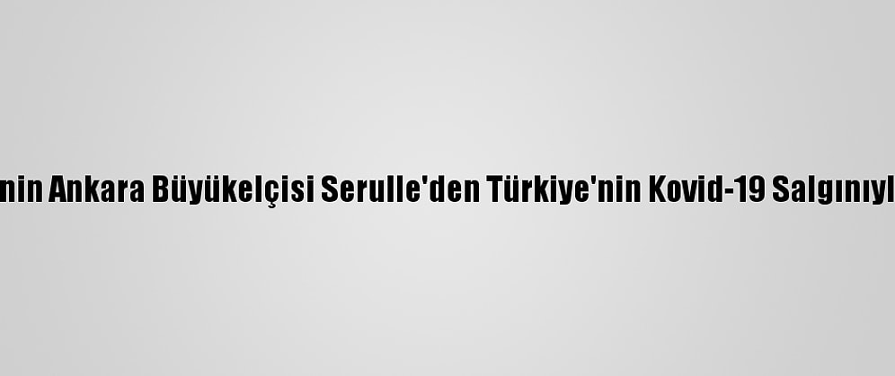Dominik Cumhuriyeti'nin Ankara Büyükelçisi Serulle'den Türkiye'nin Kovid-19 Salgınıyla Mücadelesine Övgü: