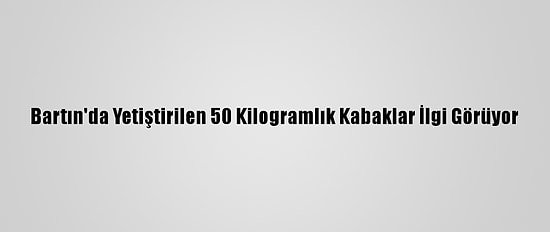 Bartın'da Yetiştirilen 50 Kilogramlık Kabaklar İlgi Görüyor