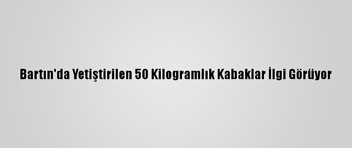 Bartın'da Yetiştirilen 50 Kilogramlık Kabaklar İlgi Görüyor