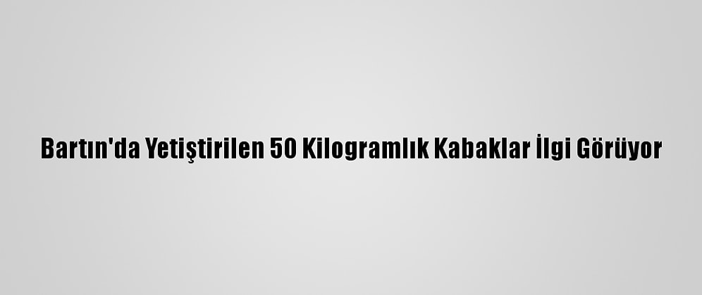 Bartın'da Yetiştirilen 50 Kilogramlık Kabaklar İlgi Görüyor