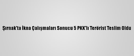 Şırnak'ta İkna Çalışmaları Sonucu 5 PKK'lı Terörist Teslim Oldu