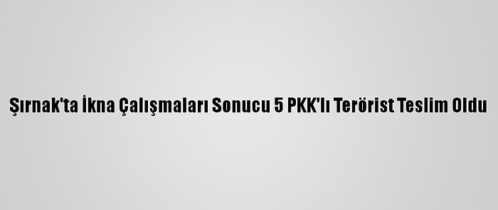 Şırnak'ta İkna Çalışmaları Sonucu 5 PKK'lı Terörist Teslim Oldu