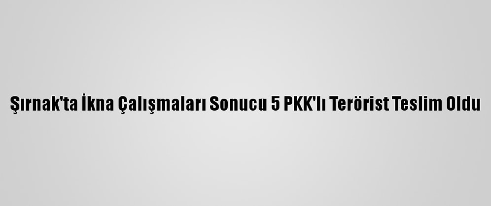 Şırnak'ta İkna Çalışmaları Sonucu 5 PKK'lı Terörist Teslim Oldu