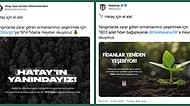 Futbol Dünyası Hatay'daki Orman Yangınları İçin Tek Yürek Oldu! Ağaç Bağışı Kampanyası Çığ Gibi Büyüdü