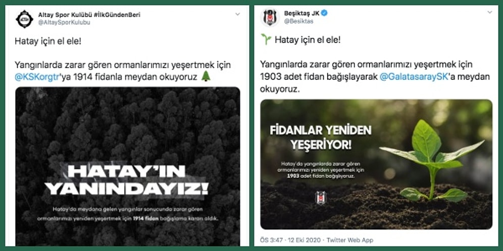 Futbol Dünyası Hatay'daki Orman Yangınları İçin Tek Yürek Oldu! Ağaç Bağışı Kampanyası Çığ Gibi Büyüdü