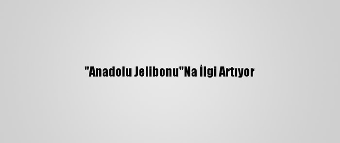 "Anadolu Jelibonu"Na İlgi Artıyor