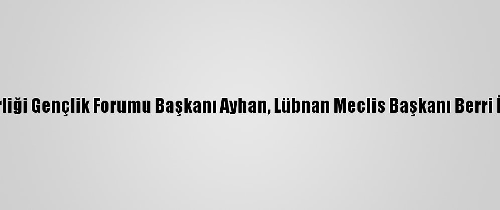 İslam İşbirliği Gençlik Forumu Başkanı Ayhan, Lübnan Meclis Başkanı Berri İle Görüştü