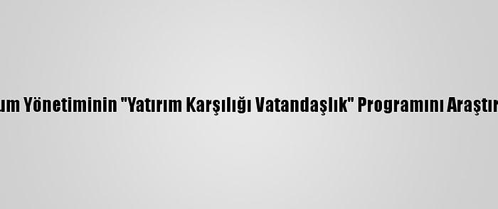 AB, Rum Yönetiminin "Yatırım Karşılığı Vatandaşlık" Programını Araştıracak