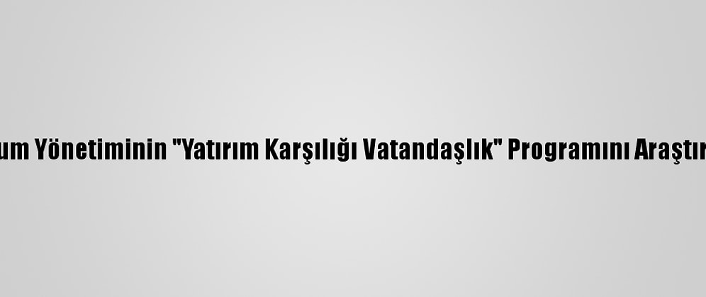 AB, Rum Yönetiminin "Yatırım Karşılığı Vatandaşlık" Programını Araştıracak