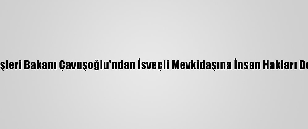 Dışişleri Bakanı Çavuşoğlu'ndan İsveçli Mevkidaşına İnsan Hakları Dersi: