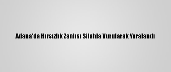 Adana'da Hırsızlık Zanlısı Silahla Vurularak Yaralandı