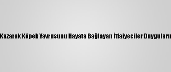 Elleriyle Kazarak Köpek Yavrusunu Hayata Bağlayan İtfaiyeciler Duygularını Anlattı