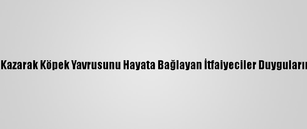 Elleriyle Kazarak Köpek Yavrusunu Hayata Bağlayan İtfaiyeciler Duygularını Anlattı
