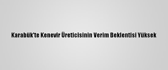Karabük'te Kenevir Üreticisinin Verim Beklentisi Yüksek