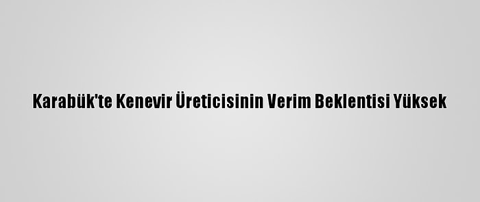 Karabük'te Kenevir Üreticisinin Verim Beklentisi Yüksek