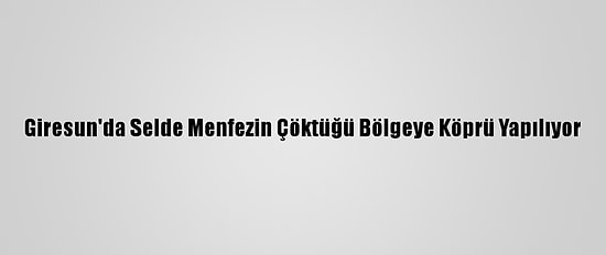 Giresun'da Selde Menfezin Çöktüğü Bölgeye Köprü Yapılıyor