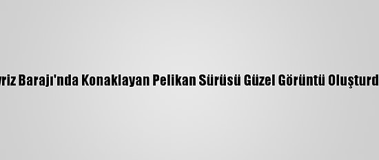 İvriz Barajı'nda Konaklayan Pelikan Sürüsü Güzel Görüntü Oluşturdu