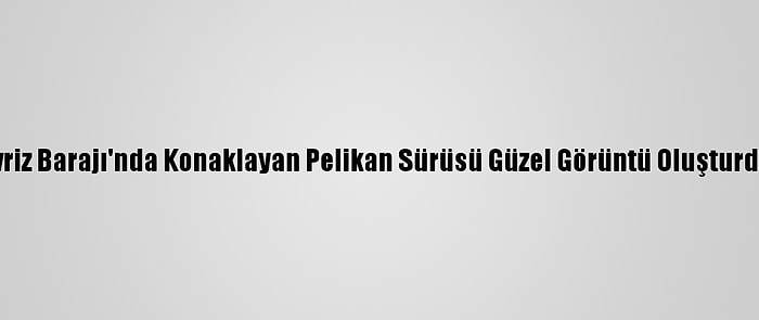 İvriz Barajı'nda Konaklayan Pelikan Sürüsü Güzel Görüntü Oluşturdu