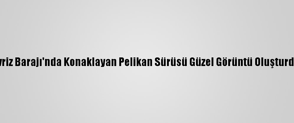 İvriz Barajı'nda Konaklayan Pelikan Sürüsü Güzel Görüntü Oluşturdu